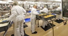 Orthomaster Anti-Fatigue Matting