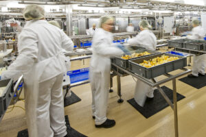 Orthomaster Food Mat