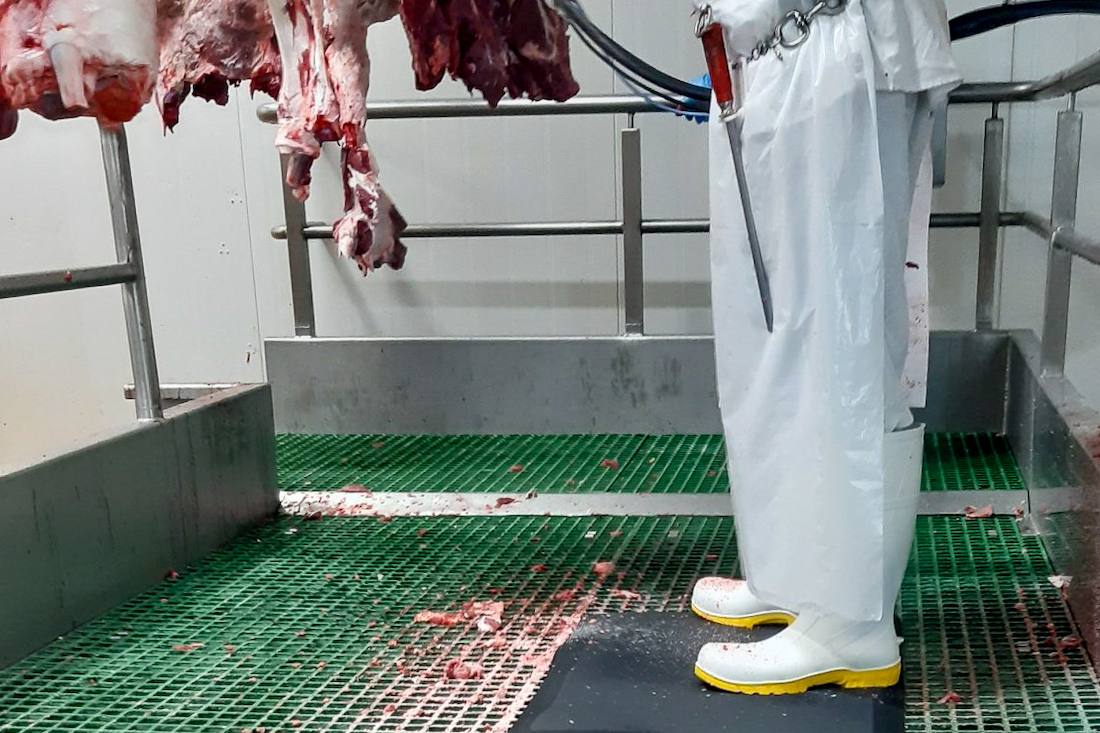 Orthomaster Food Mat