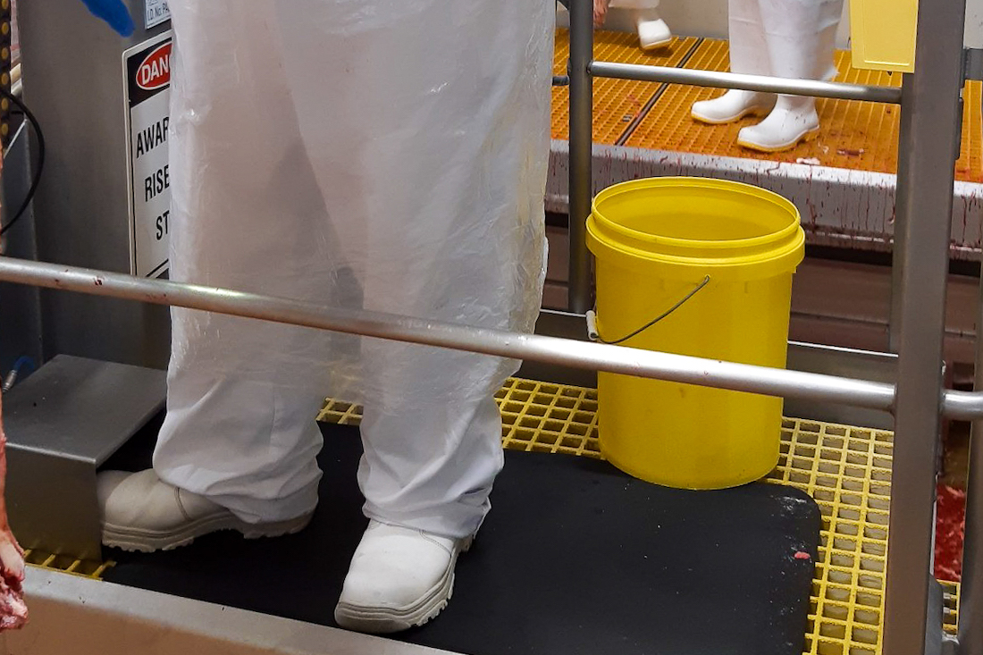 Orthomaster Food Mat