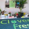 AMCO custom Entry Mat for Clover Fresh